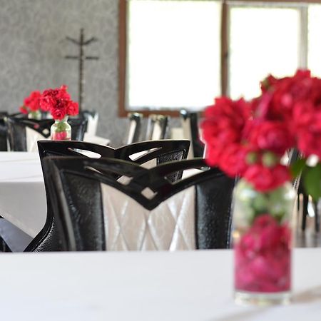Johnny Hotel Kamenice エクステリア 写真