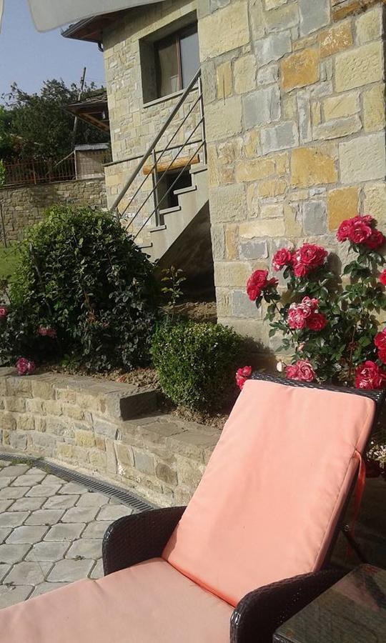 Johnny Hotel Kamenice エクステリア 写真